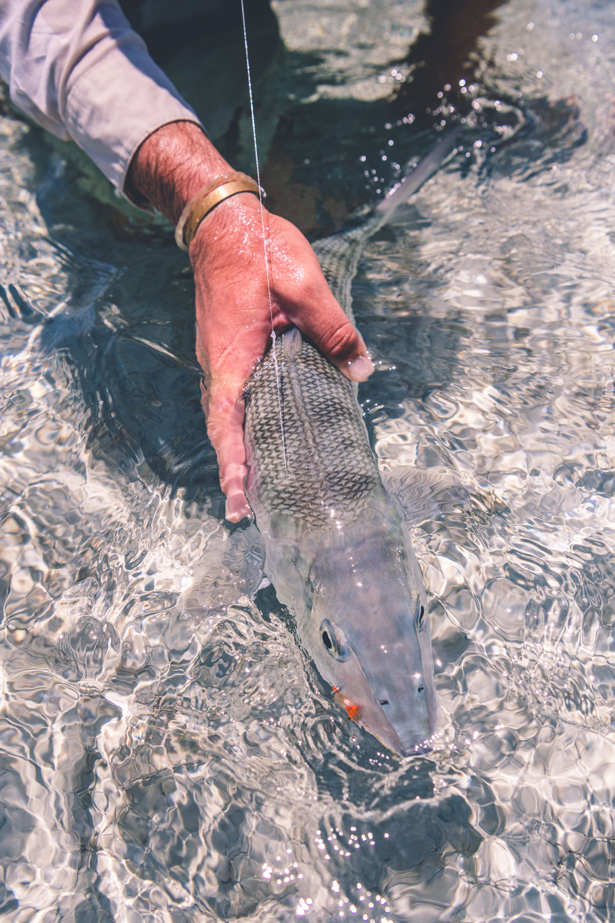 Will_Graham_Abaco_Lodge_Flyfishing-39