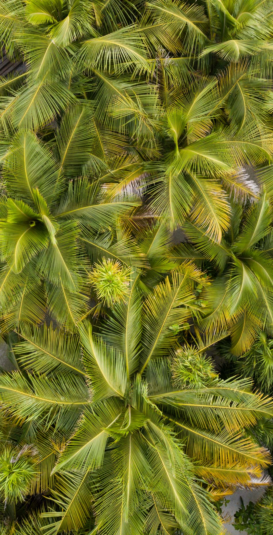 Will_Graham_Tailwaters_FlyFishGuanaja_3_18-249