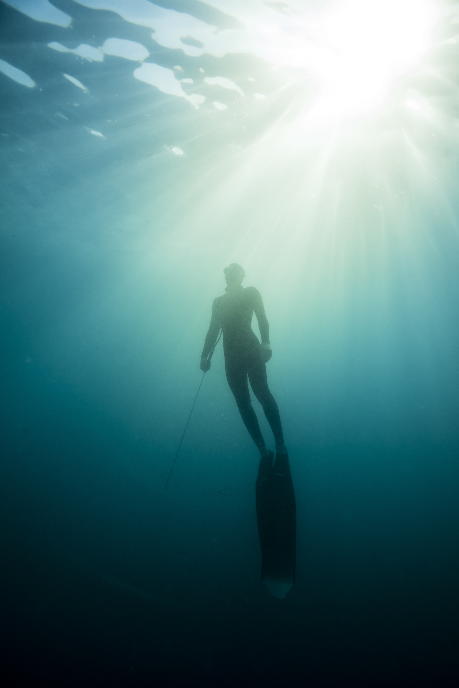 Will Graham Freedive 27