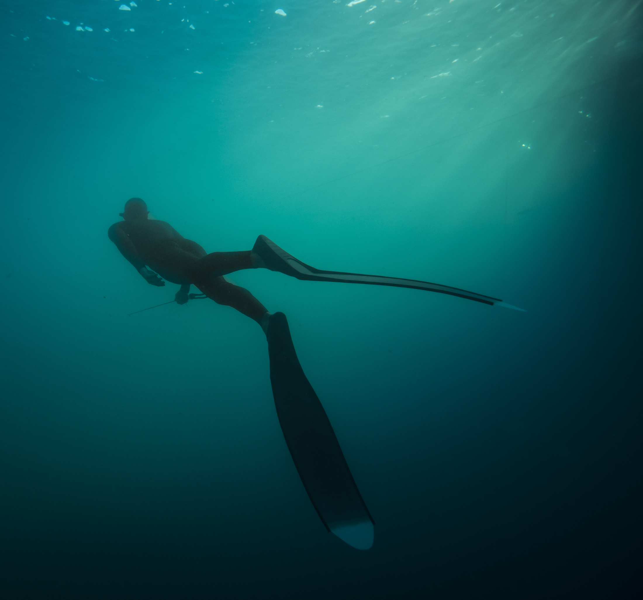 Will Graham Freedive 28