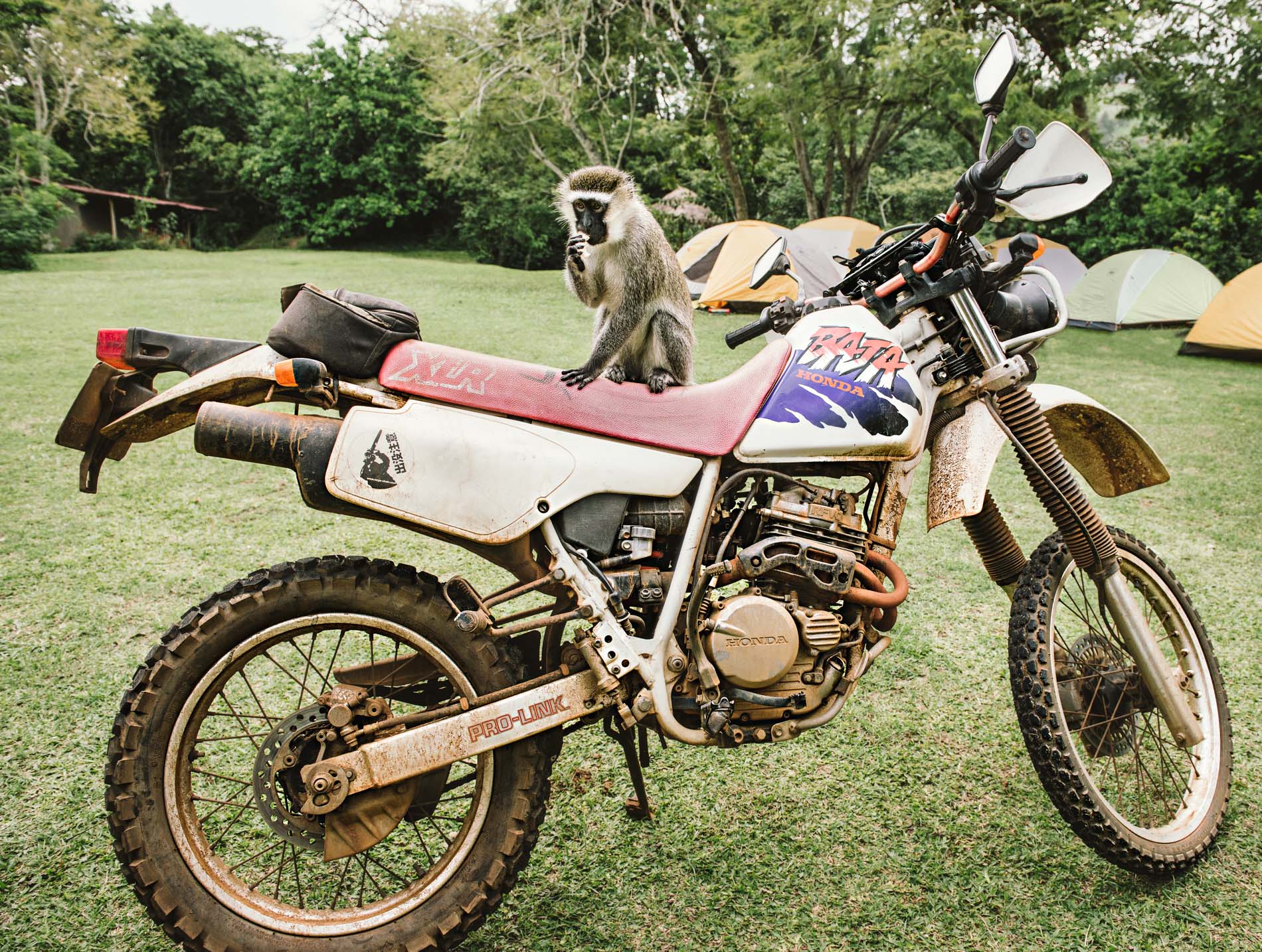 Will Graham Moto-Ganda 2